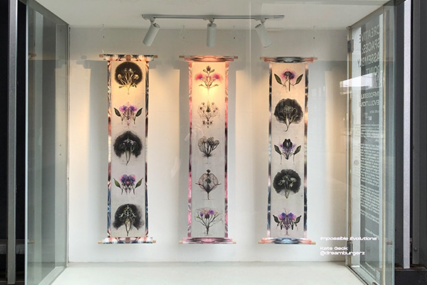 An installation of artwork by Kate Geck called Machine Imaginings, which uses generative A.I machine learning models to create printed textiles. The neural networks of machine learning models are illustrated and appear like botanical art. This work has been exhibited at galleries in Australia and Europe in 2022 and 2023.